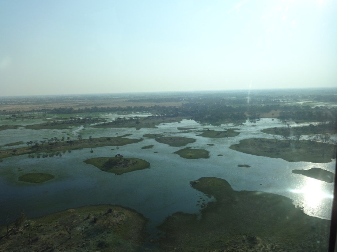 another view of the Delta