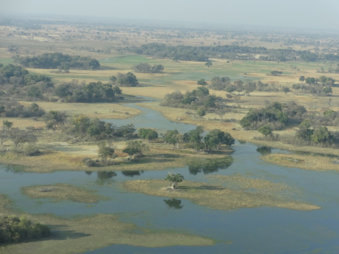 Delta landscape