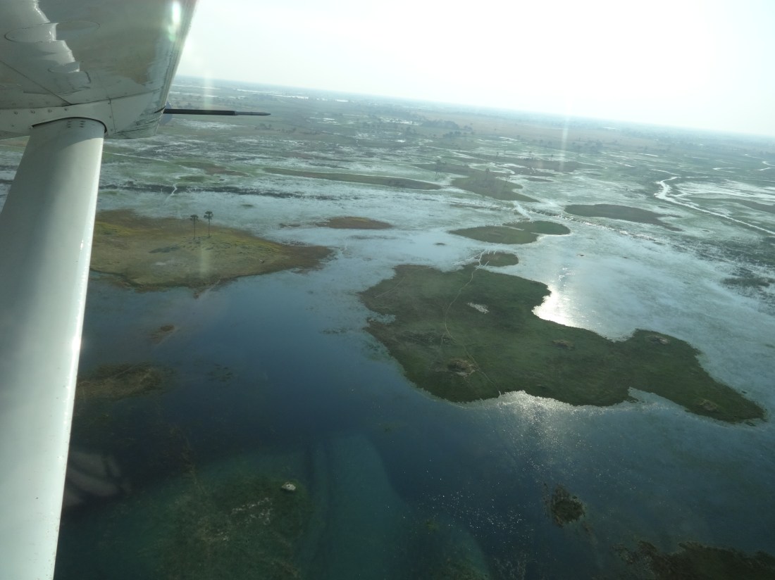 flying over the Delta