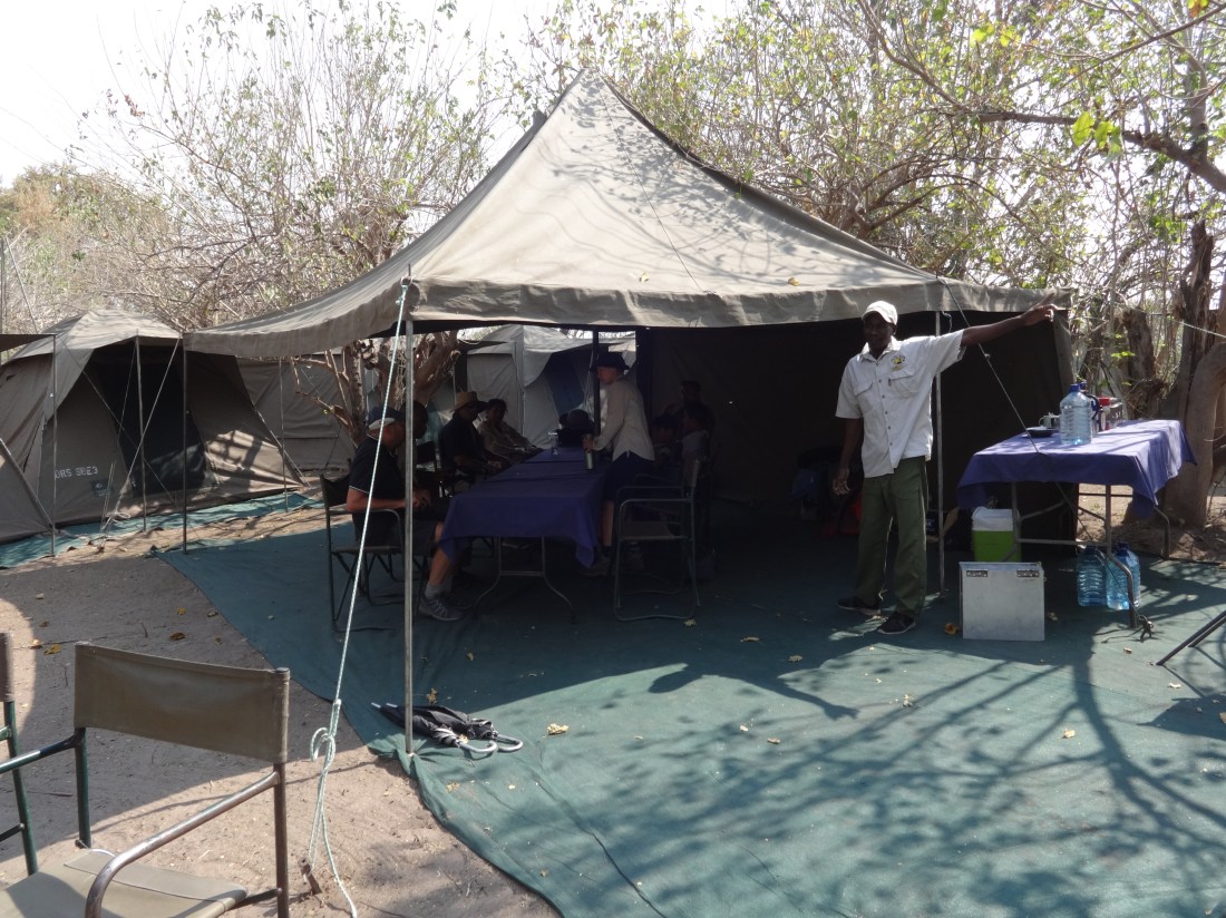 our camp at Ok.Delta