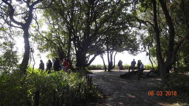 path to Vic Falls view