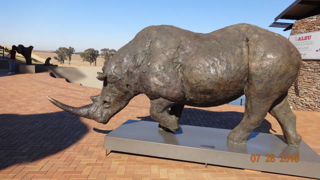 rhino- what we hope to see lots of!
