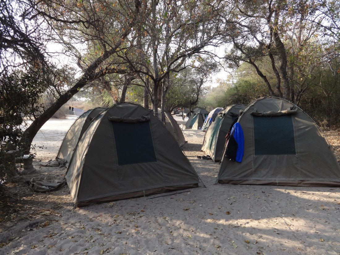 Sitatunga camp site near Maun